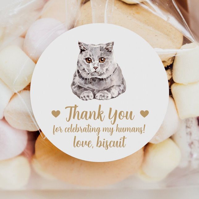 British Shorthair Cat Wedding Favour Stickers (Creator Uploaded)