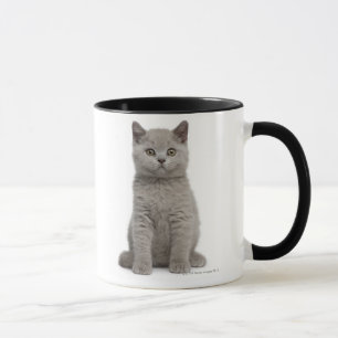 British Shorthair Kitten (10 weeks old) 2 Mug