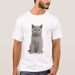 British Shorthair Kitten (10 weeks old) 2 T-Shirt