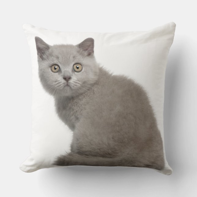 British Shorthair Kitten (10 weeks old) Cushion (Front)