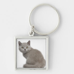 British Shorthair Kitten (10 weeks old) Key Ring