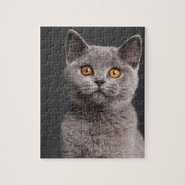 British Shorthair kitten (3 months old) Jigsaw Puzzle (Vertical)
