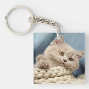British shorthair, Kitten, Pet Key Ring