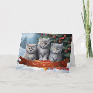 British shorthair kittens christmas card