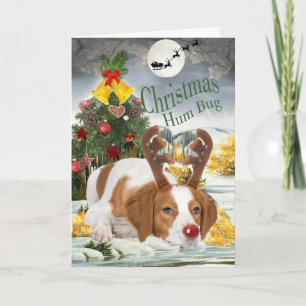 Brittany Bah Humbug Cards