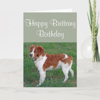 Brittany Birthday Card