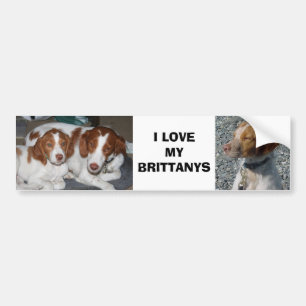 Brittany Bumper Sticker