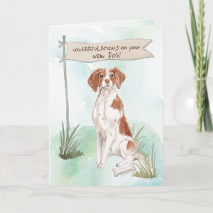 Brittany Congratulations on New Dog Card