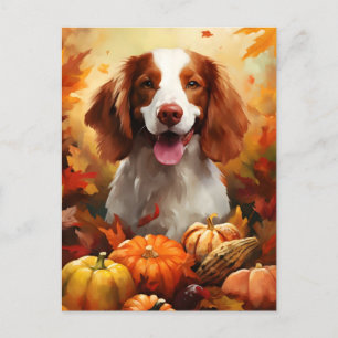 Brittany dog Autumn Thanksgiving  Postcard