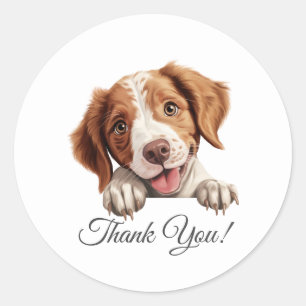 Brittany Dog Thank You Classic Round Sticker