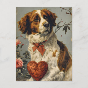 Brittany dog Vintage Valentine's day  Postcard