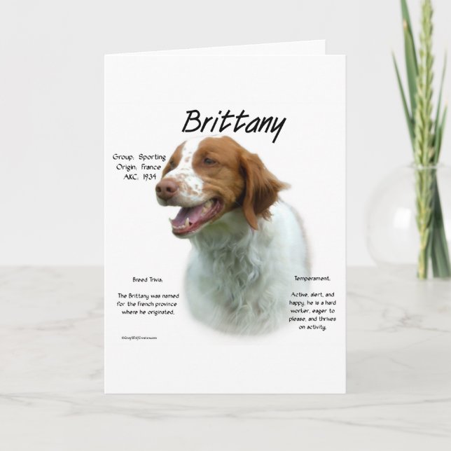 Brittany History Design Holiday Card (Front)