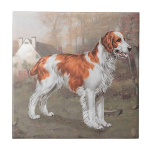 Brittany in the Field Ceramic Tile