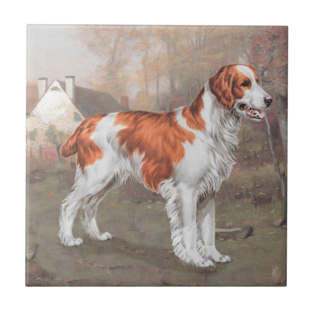 Brittany in the Field Ceramic Tile (Front)