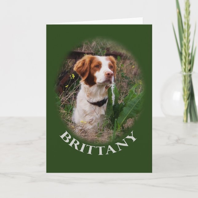 Brittany Note Card (Front)