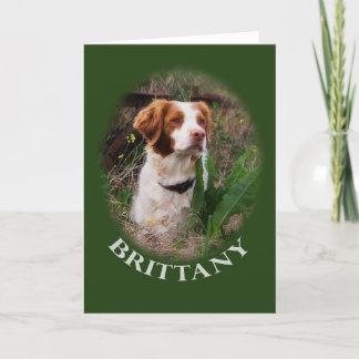 Brittany Note Card
