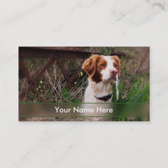 Brittany or Pet Industry Business Card (Front)