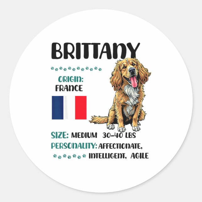 Brittany Origin Funny Brittany Dog Lover  Classic Round Sticker (Front)