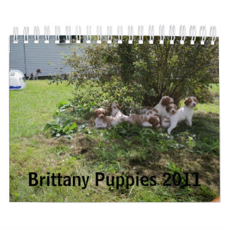 Brittany Puppies 2011 Calendar