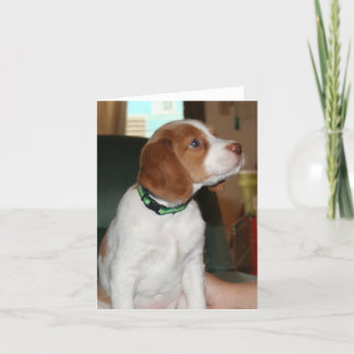 Brittany Puppy Notecard