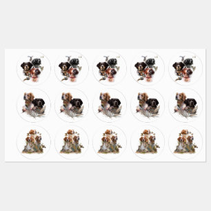 Brittany Spaniel