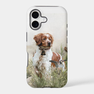 Brittany Spaniel 