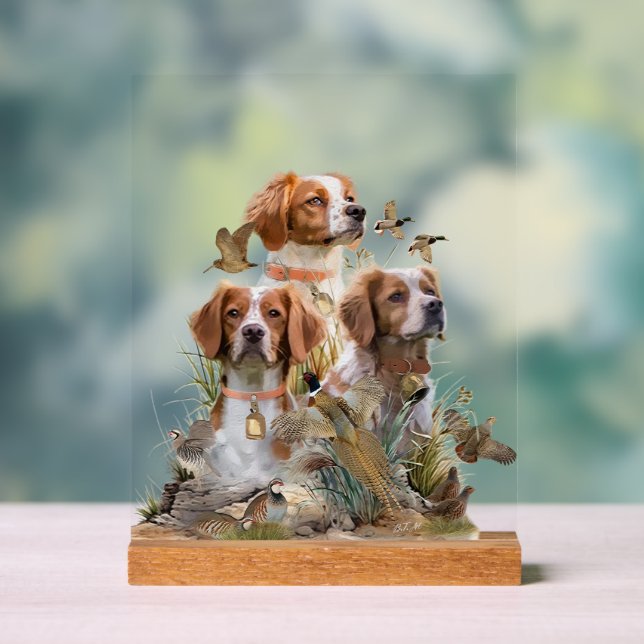 Brittany Spaniel Acrylic Sign (Neutral)