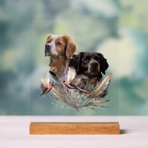 Brittany Spaniel Acrylic Sign