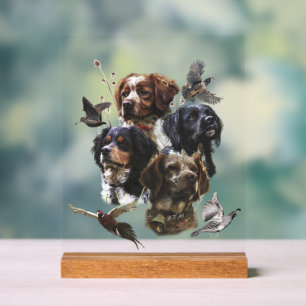 Brittany Spaniel Acrylic Sign
