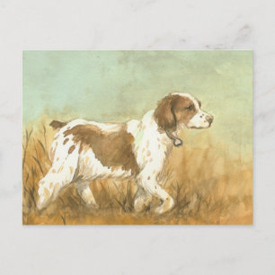 "Brittany Spaniel" Art Reproduction Postcard