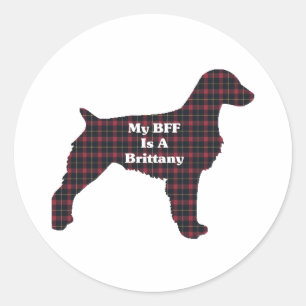 Brittany Spaniel BFF Sticker