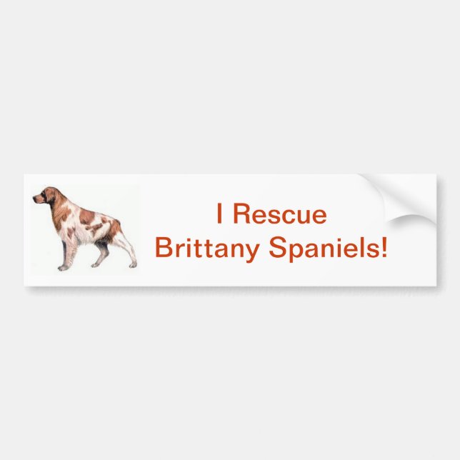 Brittany Spaniel Bumper Sticker (Front)