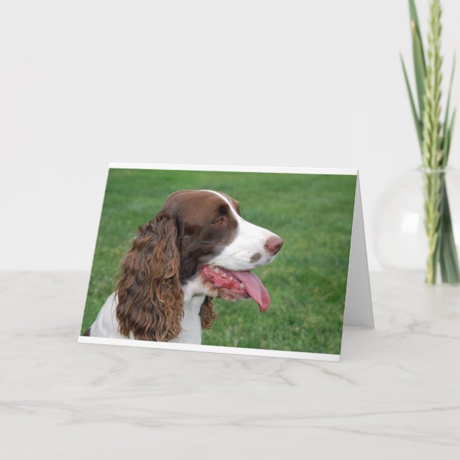 Brittany Spaniel Card (Front)