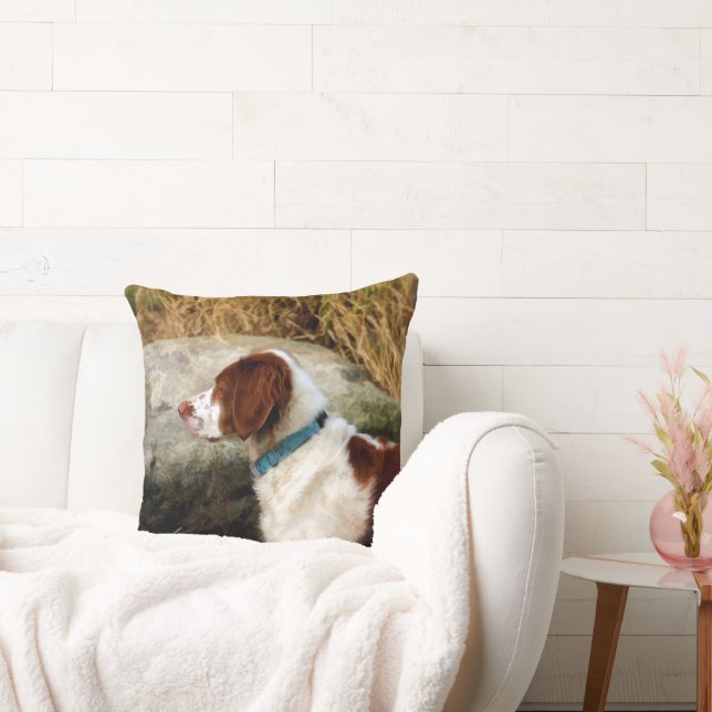 Brittany Spaniel - Copper Cushion (Couch)