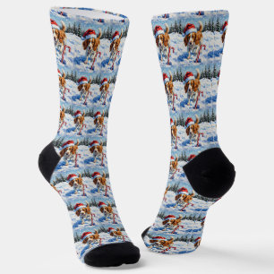 Brittany Spaniel Dog Pointing at Christmas Candy Socks