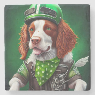 Brittany Spaniel driving bike St. Patrick's Day Stone Coaster