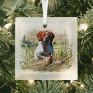 Brittany Spaniel – Field, Focus, Pheasant , Art Glass Tree Decoration