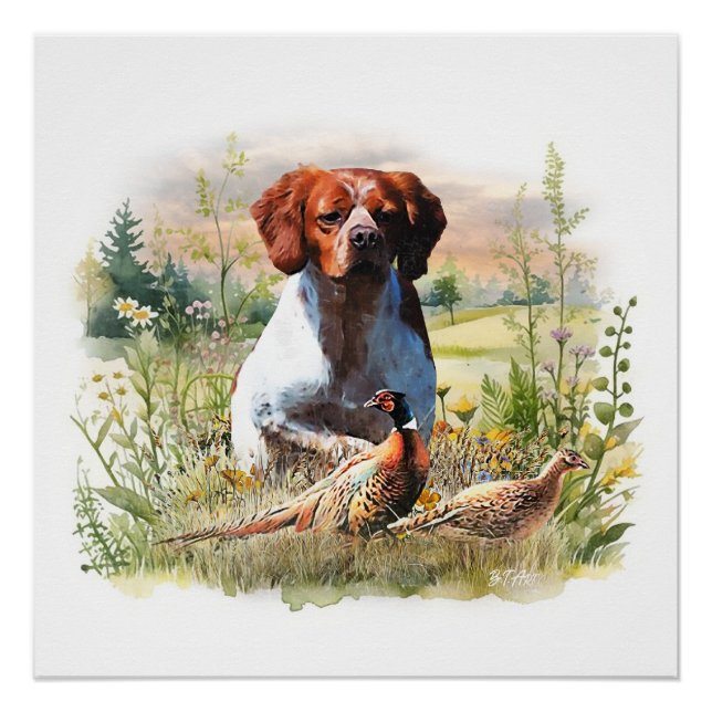 Brittany Spaniel – Field, Focus, Pheasant , Art  Poster (Front)