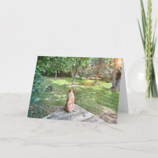 Brittany spaniel folded note card