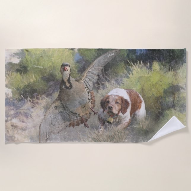 Brittany Spaniel hunting chukar partridge, Art  Beach Towel (Front)