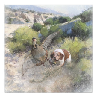 Brittany Spaniel hunting chukar partridge, Art Photo Print