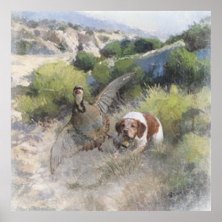 Brittany Spaniel hunting chukar partridge, Art Poster