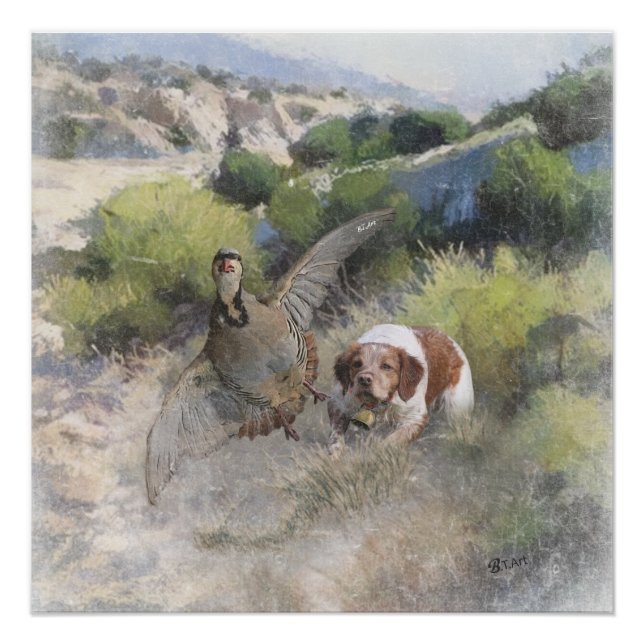 Brittany Spaniel hunting chukar partridge, Art  Poster (Front)