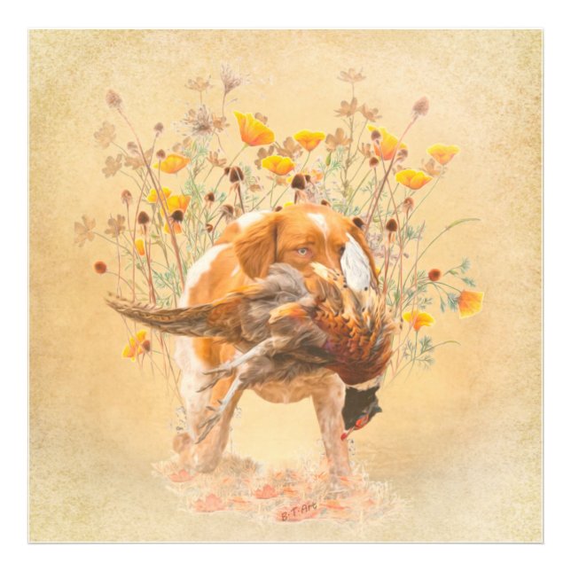 Brittany Spaniel, Hunting Pheasant Coffee Mug T-Sh Photo Print (Front)