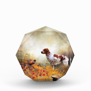 Brittany Spaniel, Hunting Pheasant Photo Block