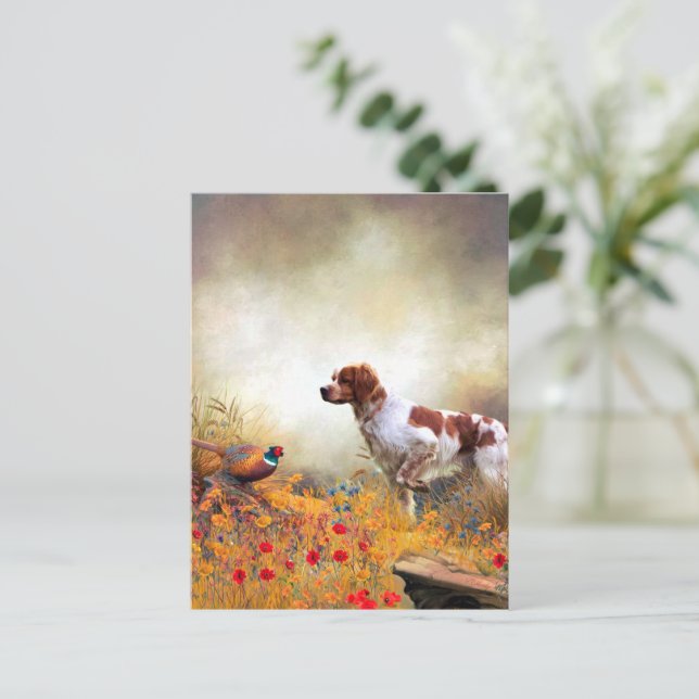 Brittany Spaniel, Hunting Pheasant   Postcard (Standing Front)