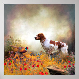 Brittany Spaniel, Hunting Pheasant   Poster
