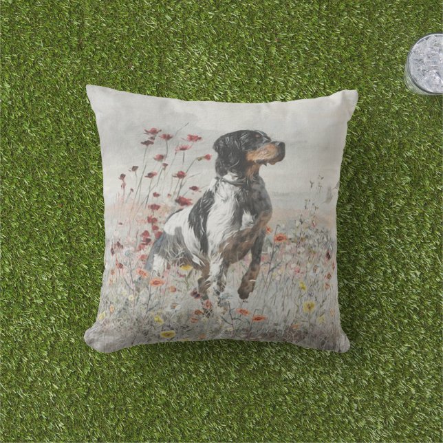 Brittany Spaniel hunts in the field      Cushion (Grass)