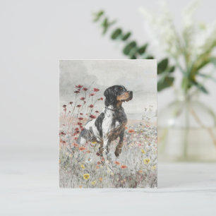 Brittany Spaniel hunts in the field     Postcard