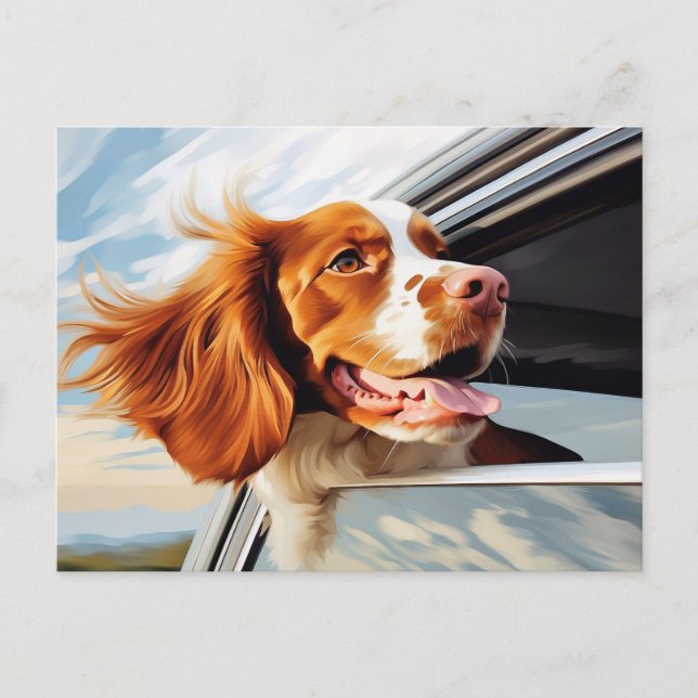 Brittany spaniel in Car Window Postcard (Front)